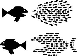 Solidarity Fish